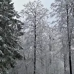 Le Repaire Des Amoureux La-Roche-en-Ardenne