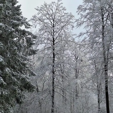 Le Repaire Des Amoureux ラ・ロシュ・アン・アルデンヌ